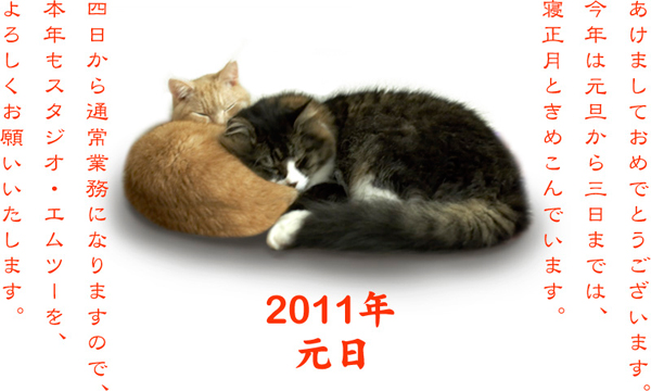 2011年もよろしくお願いします。_a0002672_199363.jpg