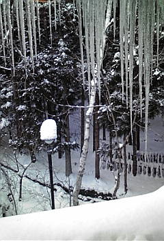f0219773_21492430.jpg