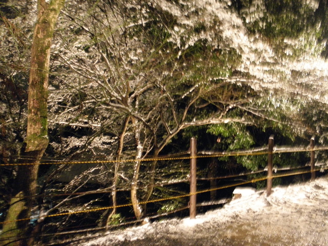 京都：　大晦日の知恩院_b0034574_1332188.jpg