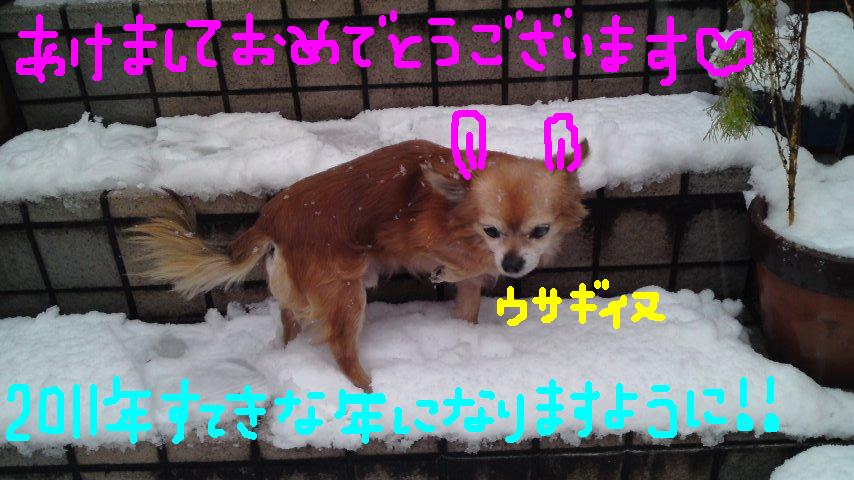 立って歩け前へ進めあんたには立派な足がついてるじゃないか 大手筋商店街の店員さんのブログ 立って歩け前へ進めあんたには立派な足がついてるじゃないか 大手筋商店街の店員さんのブログ