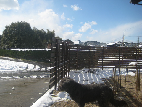 2010お疲れ様でした。_d0195183_1473911.jpg
