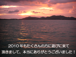 大晦日なのに、今年初!_f0144385_10133182.jpg