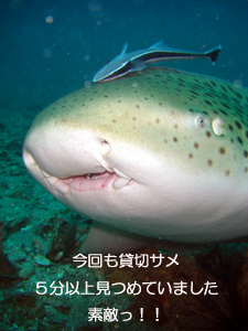 大晦日なのに、今年初!_f0144385_1013685.jpg