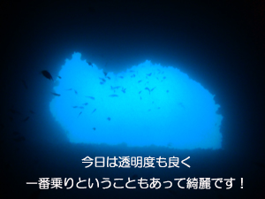 大晦日なのに、今年初!_f0144385_1045828.jpg
