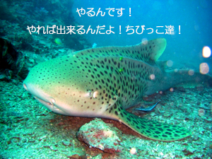 大晦日なのに、今年初!_f0144385_9561866.jpg