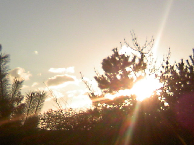 b0135992_12555871.jpg
