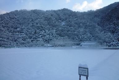 2011年 賀正_d0087595_10303766.jpg