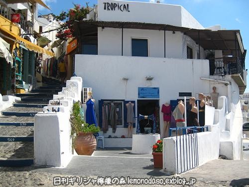 c0010496_98565.jpg