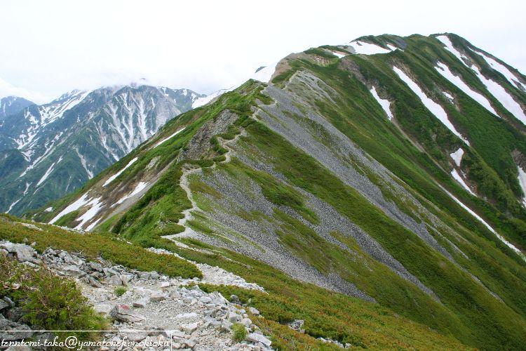 c0133096_11113929.jpg