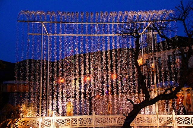 箱根ガラスの森美術館のクリスマス エーデルワイスphoto