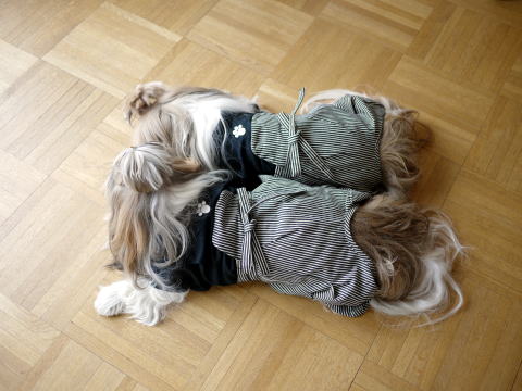 c0090198_1545795.jpg