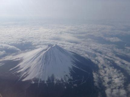 ハッピーニューイヤー_e0077899_8444490.jpg
