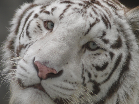 総括2010_b0016600_19520100.jpg