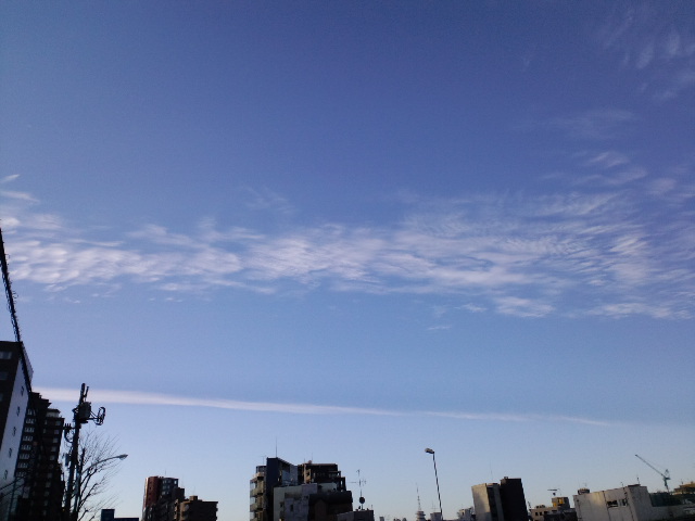 a0088007_1281539.jpg
