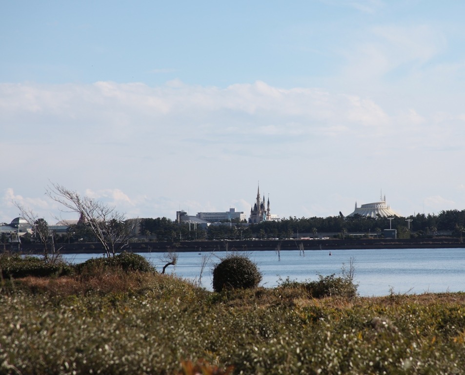 c0041207_9572944.jpg