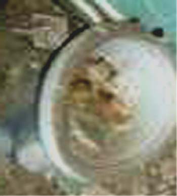 e0103408_13101114.jpg