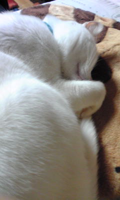 c0180209_22275054.jpg