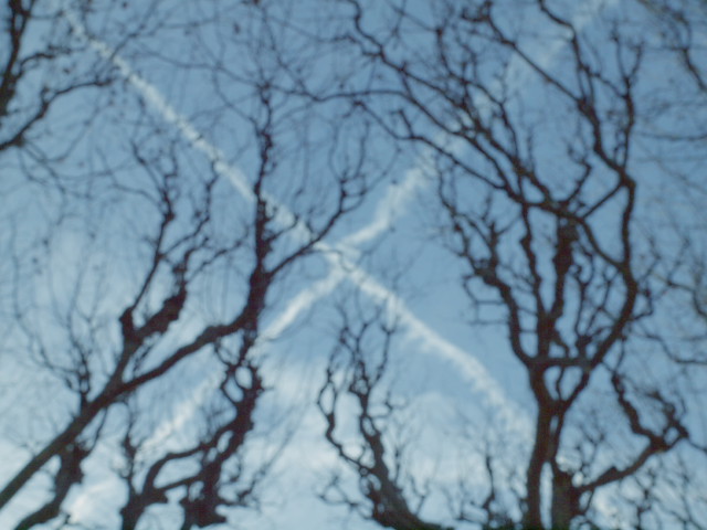 contrail_a0145313_224431.jpg