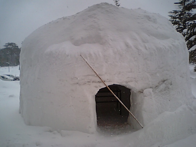 b0133713_18162672.jpg