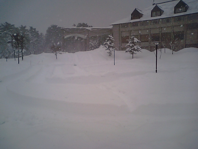 b0133713_1817689.jpg