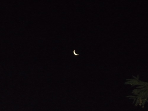 c0188814_23572139.jpg