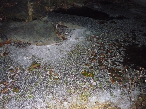 c0188814_23593077.jpg