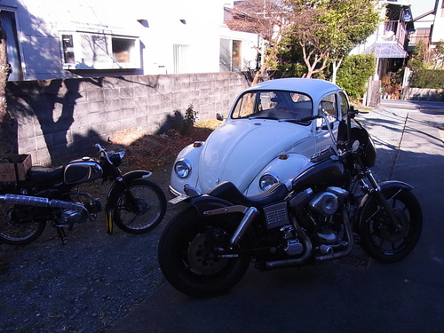 2011_d0179518_133335.jpg
