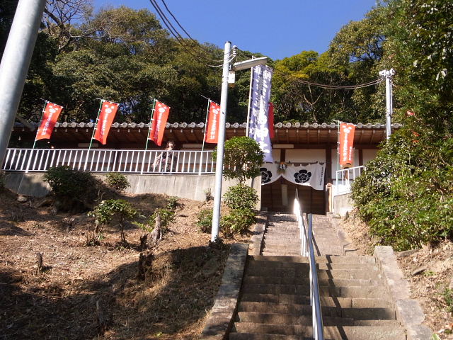 初詣　保久良・岡本八幡・素盞鳴・弓弦羽・本住吉とシロハラ_a0037019_7372781.jpg