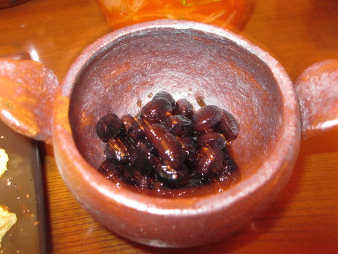 「豆元年」~~~_a0125419_10255344.jpg