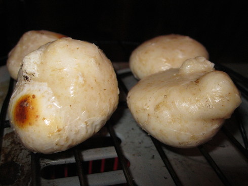 「豆元年」~~~_a0125419_1032521.jpg