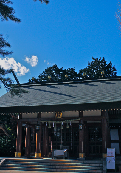 初詣!_f0170519_19141893.jpg
