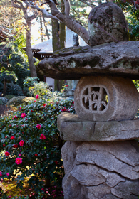 初詣!_f0170519_19171351.jpg