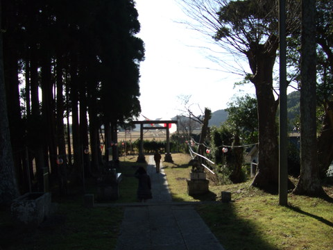 b0132024_20233217.jpg