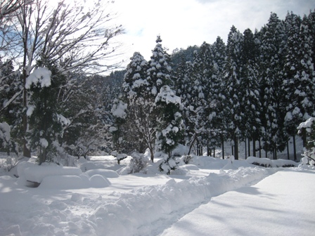 b0207632_12441759.jpg
