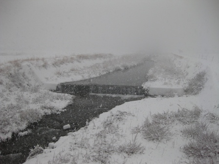 b0207632_1316770.jpg