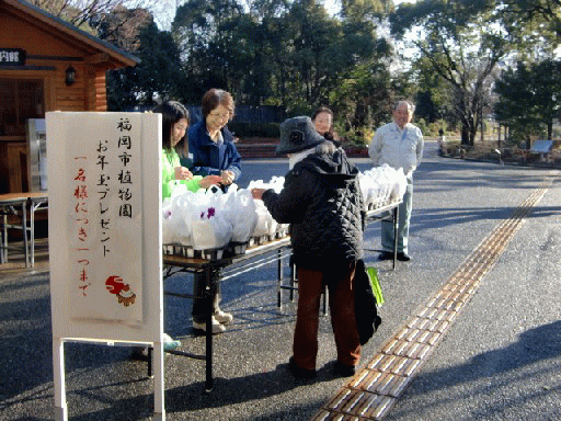 b0012636_14333899.gif
