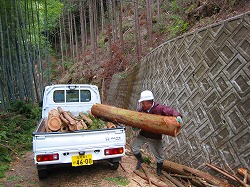 限界集落対策（土佐の森・救援隊）_a0051539_19411963.jpg