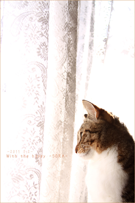 2011 1.2 -SORA-_b0049843_2015284.jpg