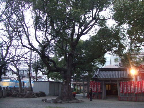 e0046748_03496.jpg