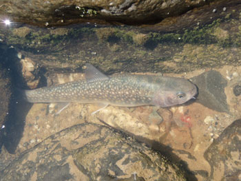 e0201348_18737.jpg