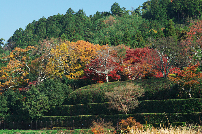 晩秋・修学院離宮2(上離宮/最終編)_f0155048_22474988.jpg