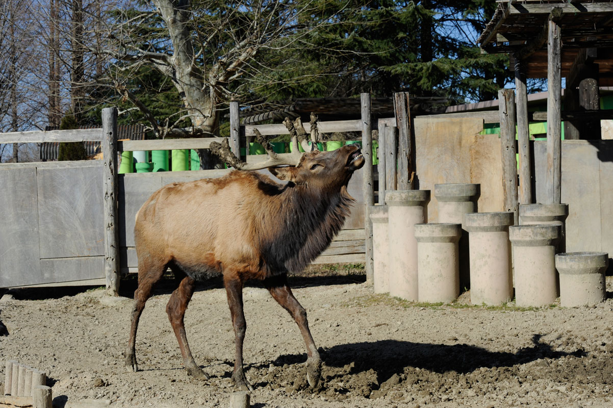 東武の面々_b0023856_5574467.jpg