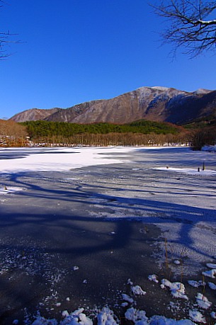 d0165557_17232789.jpg