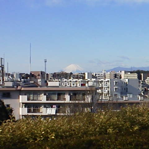d0038458_213614.jpg