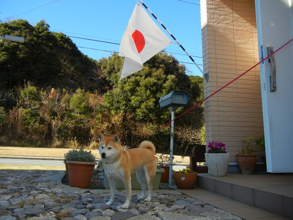 ２０１１年１月１日（土）明けましておめでとうございます！_f0060461_14491875.jpg