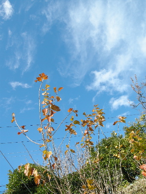 c0180565_22421830.jpg