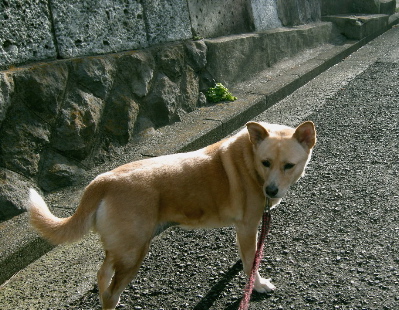 c0180565_2252224.jpg