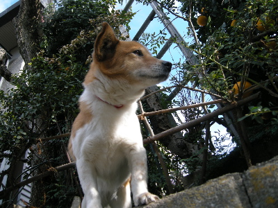 c0180565_22525592.jpg