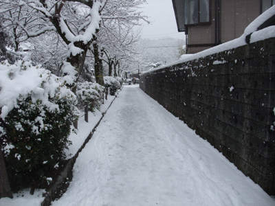 銀閣寺・哲学の道・南禅寺　12月31日（金）_f0044270_6514046.jpg