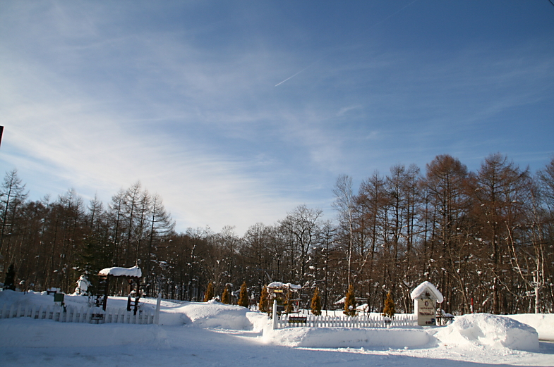 c0112479_17323920.jpg